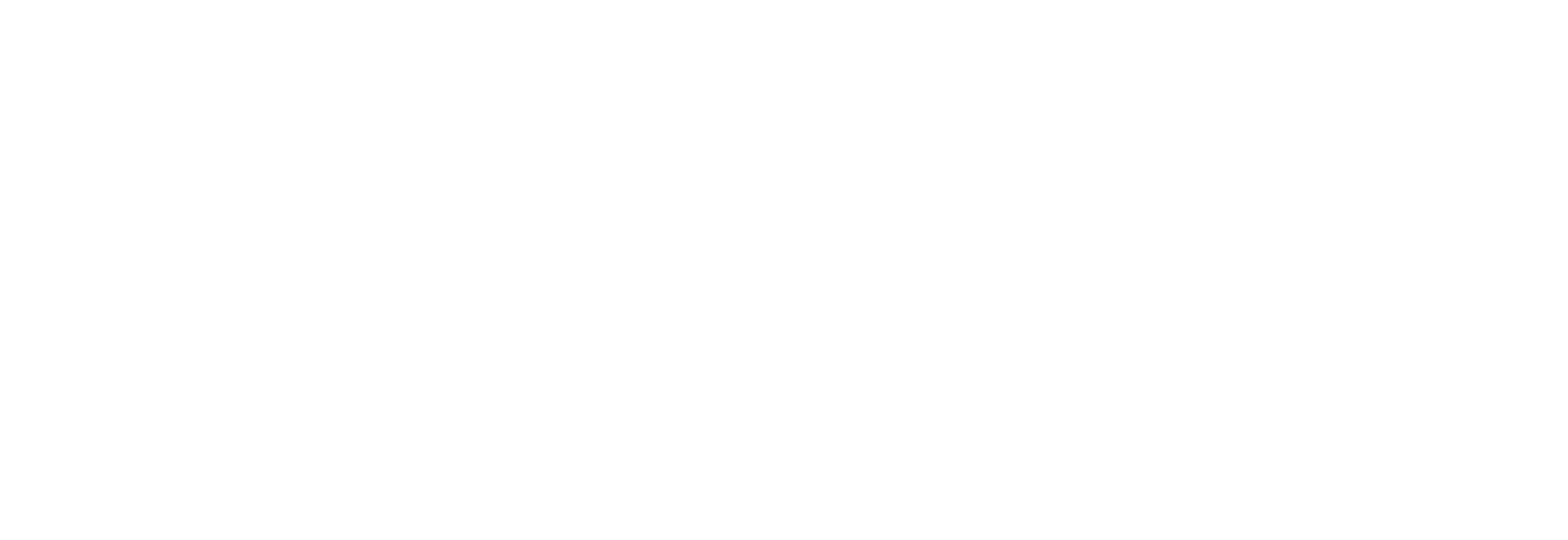 Tryon Equestrian Center Logo