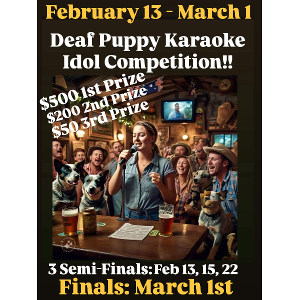 Karaoke Idol 2026 Headshot