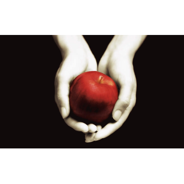 Twilight Drag Brunch Headshot