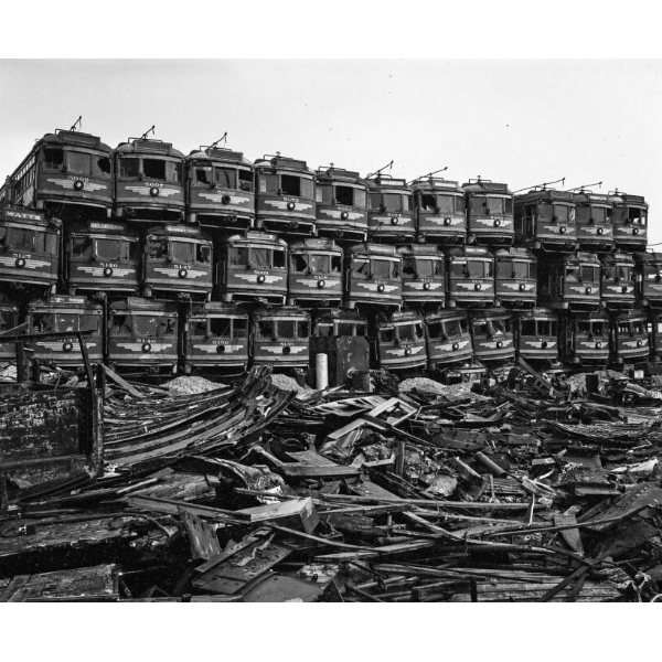 Caterpillars Graze on Victorians Headshot