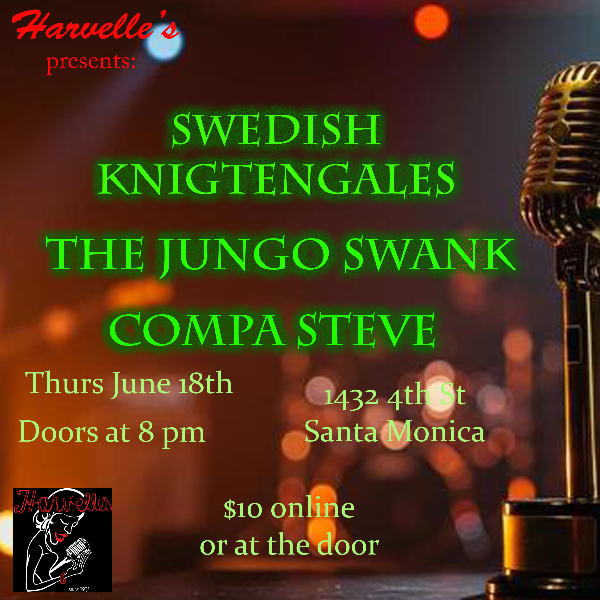 INDIE MUSIC NIGHT Headshot