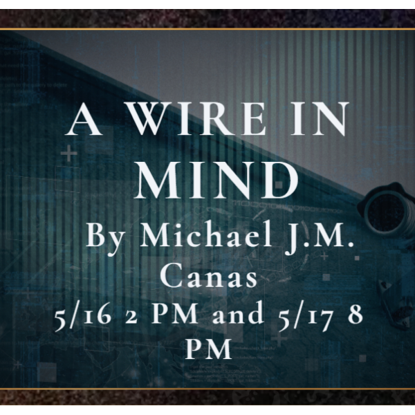 A Wire In Mind Headshot