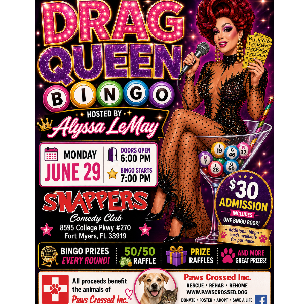 Drag Queen Bingo Headshot