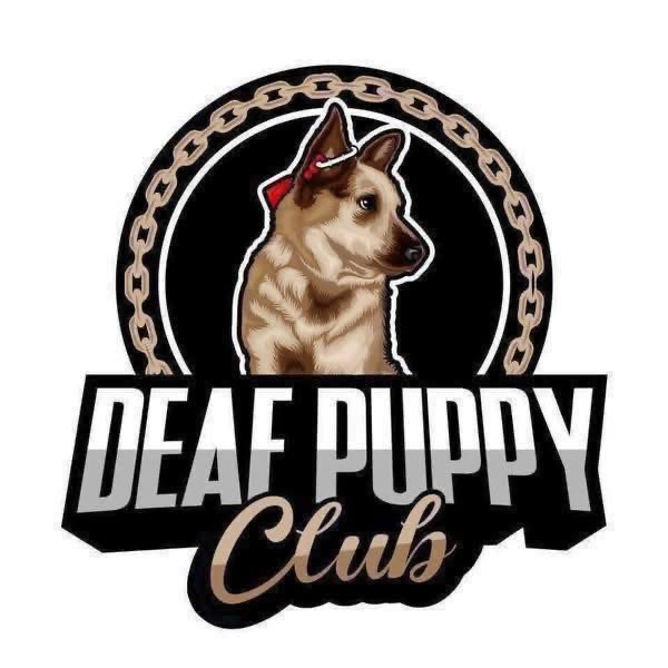 Deaf Puppy One Year Free Ticketed Membership  Headshot