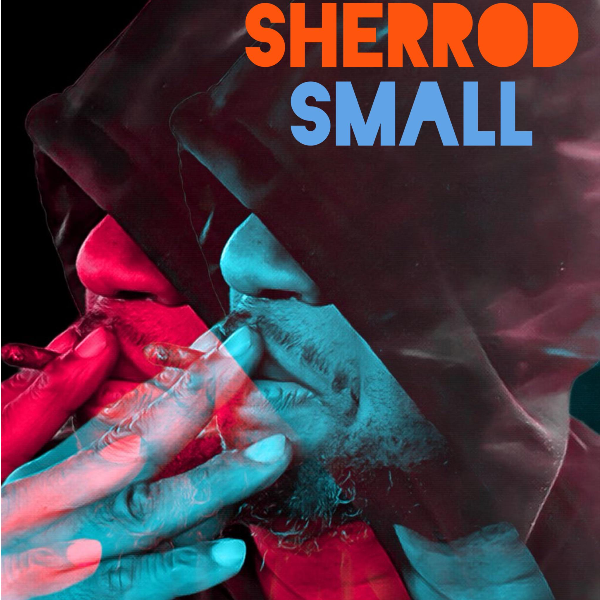 Sherrod Small Headshot