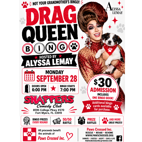 Drag Queen Bingo Headshot