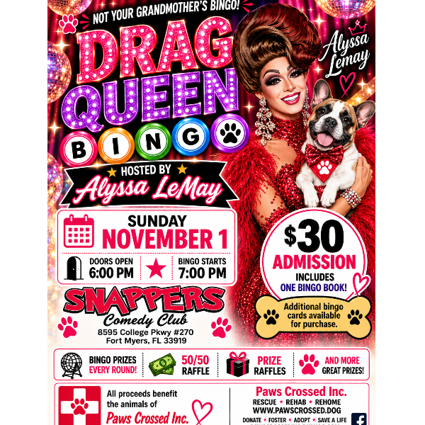 Drag Queen Bingo Headshot
